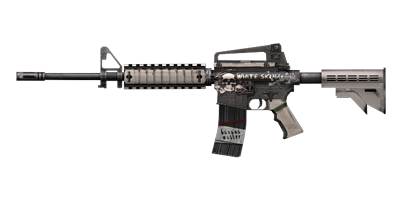 SKULL M4A1 (영구)
